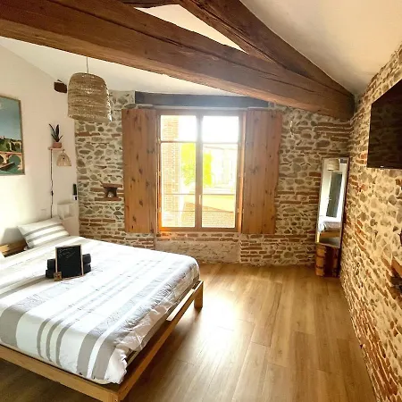 La Pause Albigeoise Apartment