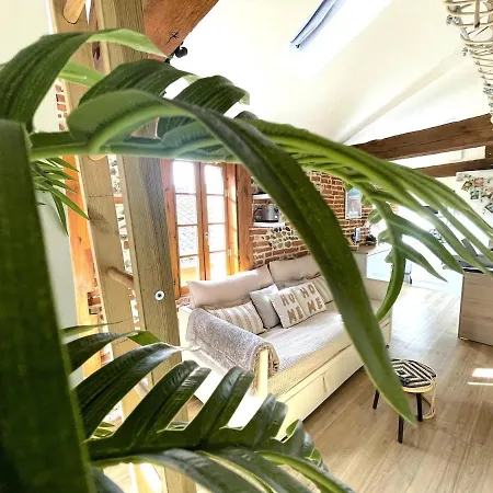 La Pause Albigeoise Apartment Albi